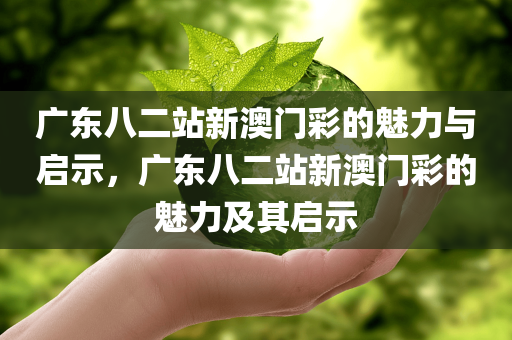 广东八二站新澳门彩的魅力与启示，广东八二站新澳门彩的魅力及其启示