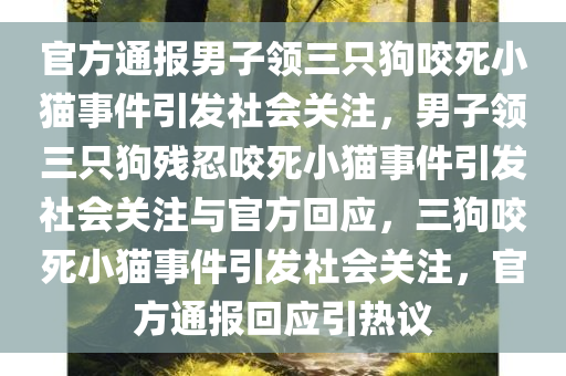 官方通报男子领三只狗咬死小猫事件引发社会关注，男子领三只狗残忍咬死小猫事件引发社会关注与官方回应，三狗咬死小猫事件引发社会关注，官方通报回应引热议