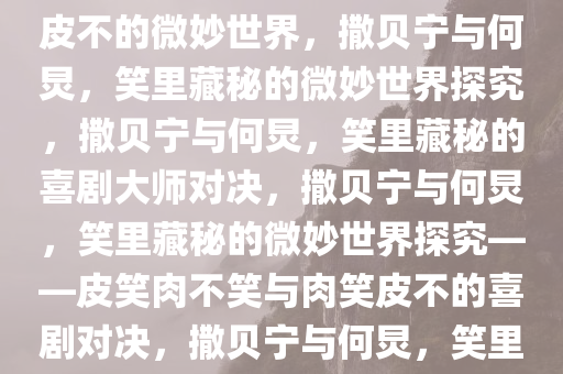 撒贝宁皮笑肉不笑与何炅肉笑皮不的微妙世界，撒贝宁与何炅，笑里藏秘的微妙世界探究，撒贝宁与何炅，笑里藏秘的喜剧大师对决，撒贝宁与何炅，笑里藏秘的微妙世界探究——皮笑肉不笑与肉笑皮不的喜剧对决，撒贝宁与何炅，笑里藏秘的喜剧大师对决