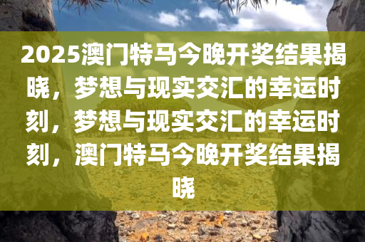 2025澳门特马今晚开奖结果揭晓，梦想与现实交汇的幸运时刻，梦想与现实交汇的幸运时刻，澳门特马今晚开奖结果揭晓