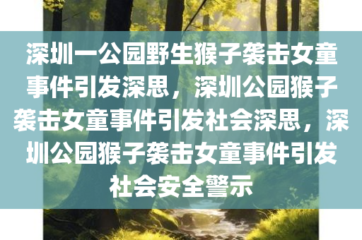 深圳一公园野生猴子袭击女童事件引发深思，深圳公园猴子袭击女童事件引发社会深思，深圳公园猴子袭击女童事件引发社会安全警示