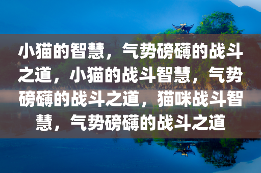 linshuhui 第13页