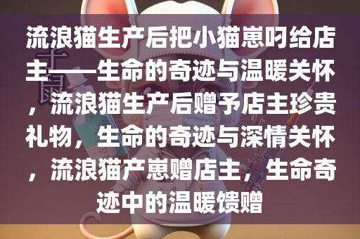 流浪猫生产后把小猫崽叼给店主——生命的奇迹与温暖关怀，流浪猫生产后赠予店主珍贵礼物，生命的奇迹与深情关怀，流浪猫产崽赠店主，生命奇迹中的温暖馈赠