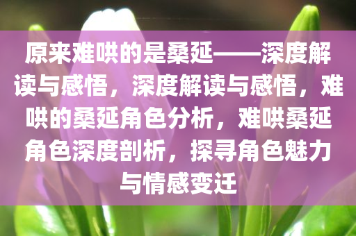 原来难哄的是桑延——深度解读与感悟，深度解读与感悟，难哄的桑延角色分析，难哄桑延角色深度剖析，探寻角色魅力与情感变迁
