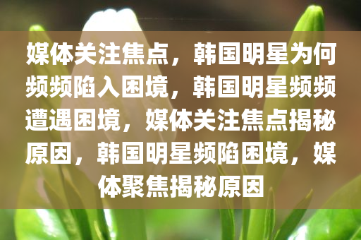 媒体关注焦点，韩国明星为何频频陷入困境，韩国明星频频遭遇困境，媒体关注焦点揭秘原因，韩国明星频陷困境，媒体聚焦揭秘原因