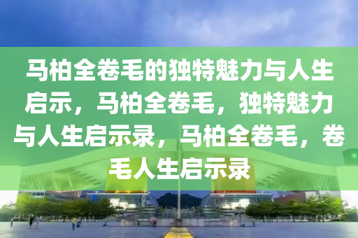 马柏全卷毛的独特魅力与人生启示，马柏全卷毛，独特魅力与人生启示录，马柏全卷毛，卷毛人生启示录