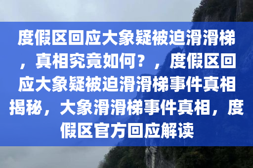 度假区回应大象疑被迫滑滑梯，真相究竟如何？，度假区回应大象疑被迫滑滑梯事件真相揭秘，大象滑滑梯事件真相，度假区官方回应解读