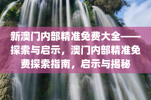 新澳门内部精准免费大全——探索与启示，澳门内部精准免费探索指南，启示与揭秘