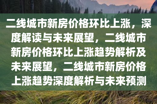 二线城市新房价格环比上涨，深度解读与未来展望，二线城市新房价格环比上涨趋势解析及未来展望，二线城市新房价格上涨趋势深度解析与未来预测