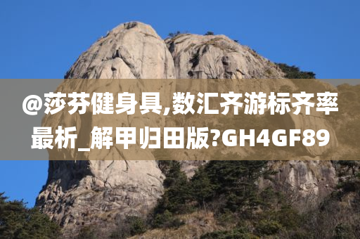 @莎芬健身具,数汇齐游标齐率最析_解甲归田版?GH4GF89