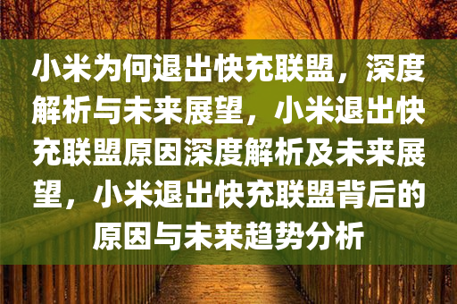 小米为何退出快充联盟，深度解析与未来展望，小米退出快充联盟原因深度解析及未来展望，小米退出快充联盟背后的原因与未来趋势分析