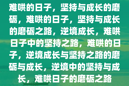 难哄
