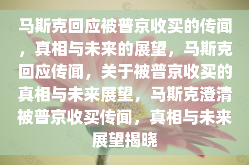 马斯克回应被普京收买的传闻，真相与未来的展望，马斯克回应传闻，关于被普京收买的真相与未来展望，马斯克澄清被普京收买传闻，真相与未来展望揭晓