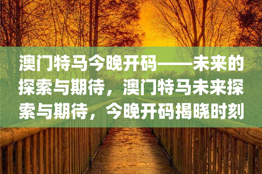澳门特马今晚开码——未来的探索与期待，澳门特马未来探索与期待，今晚开码揭晓时刻