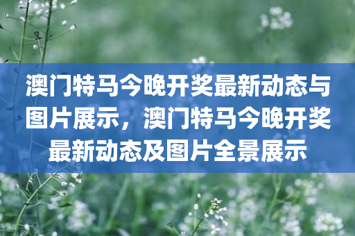 澳门特马今晚开奖最新动态与图片展示，澳门特马今晚开奖最新动态及图片全景展示