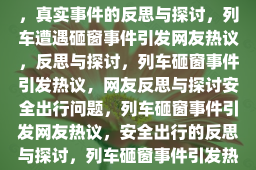多位网友称有乘列车被砸经历，真实事件的反思与探讨，列车遭遇砸窗事件引发网友热议，反思与探讨，列车砸窗事件引发热议，网友反思与探讨安全出行问题，列车砸窗事件引发网友热议，安全出行的反思与探讨，列车砸窗事件引发热议，安全出行反思与探讨