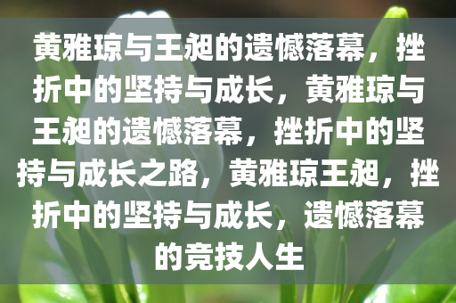 黄雅琼与王昶的遗憾落幕，挫折中的坚持与成长，黄雅琼与王昶的遗憾落幕，挫折中的坚持与成长之路，黄雅琼王昶，挫折中的坚持与成长，遗憾落幕的竞技人生