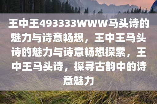 王中王493333WWW马头诗的魅力与诗意畅想，王中王马头诗的魅力与诗意畅想探索，王中王马头诗，探寻古韵中的诗意魅力