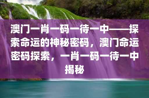 澳门一肖一码一待一中——探索命运的神秘密码，澳门命运密码探索，一肖一码一待一中揭秘