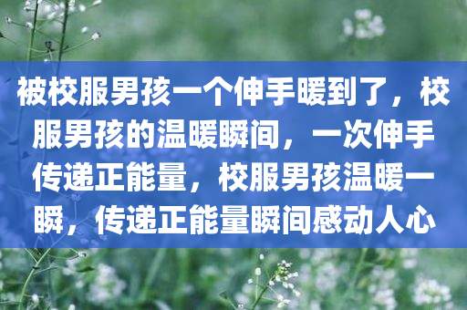 yangyuting 第8页