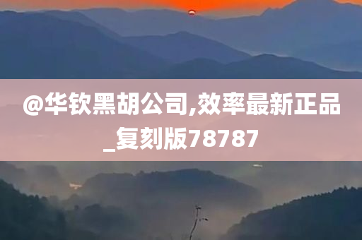 @华钦黑胡公司,效率最新正品_复刻版78787