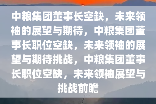 中粮集团董事长空缺，未来领袖的展望与期待，中粮集团董事长职位空缺，未来领袖的展望与期待挑战，中粮集团董事长职位空缺，未来领袖展望与挑战前瞻