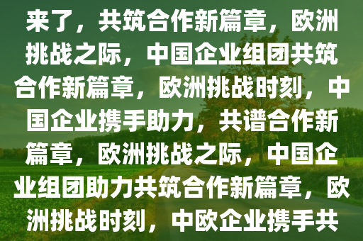 欧洲困难时刻，中国企业组团来了，共筑合作新篇章，欧洲挑战之际，中国企业组团共筑合作新篇章，欧洲挑战时刻，中国企业携手助力，共谱合作新篇章，欧洲挑战之际，中国企业组团助力共筑合作新篇章，欧洲挑战时刻，中欧企业携手共筑合作新篇章
