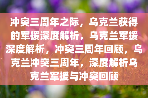 冲突三周年之际，乌克兰获得的军援深度解析，乌克兰军援深度解析，冲突三周年回顾，乌克兰冲突三周年，深度解析乌克兰军援与冲突回顾