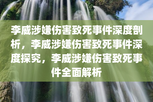 李威涉嫌伤害致死事件深度剖析，李威涉嫌伤害致死事件深度探究，李威涉嫌伤害致死事件全面解析