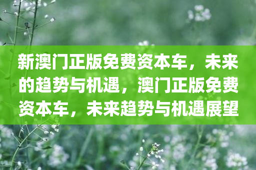 新澳门正版免费资本车，未来的趋势与机遇，澳门正版免费资本车，未来趋势与机遇展望