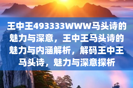 王中王493333WWW马头诗的魅力与深意，王中王马头诗的魅力与内涵解析，解码王中王马头诗，魅力与深意探析