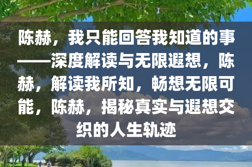陈赫，我只能回答我知道的事——深度解读与无限遐想，陈赫，解读我所知，畅想无限可能，陈赫，揭秘真实与遐想交织的人生轨迹