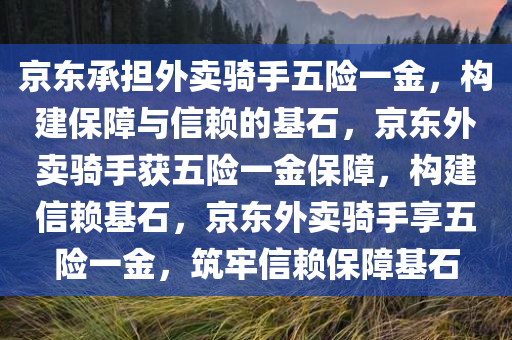 京东承担外卖骑手五险一金，构建保障与信赖的基石，京东外卖骑手获五险一金保障，构建信赖基石，京东外卖骑手享五险一金，筑牢信赖保障基石