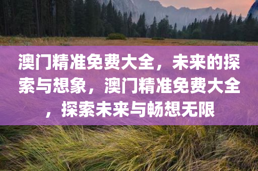 澳门精准免费大全，未来的探索与想象，澳门精准免费大全，探索未来与畅想无限