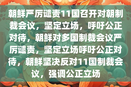 朝鲜严厉谴责11国召开对朝制裁会议，坚定立场，呼吁公正对待，朝鲜对多国制裁会议严厉谴责，坚定立场呼吁公正对待，朝鲜坚决反对11国制裁会议，强调公正立场