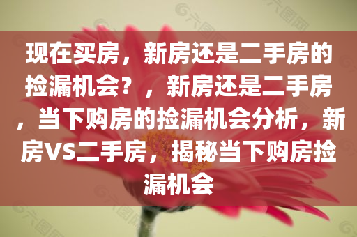 现在买房，新房还是二手房的捡漏机会？，新房还是二手房，当下购房的捡漏机会分析，新房VS二手房，揭秘当下购房捡漏机会