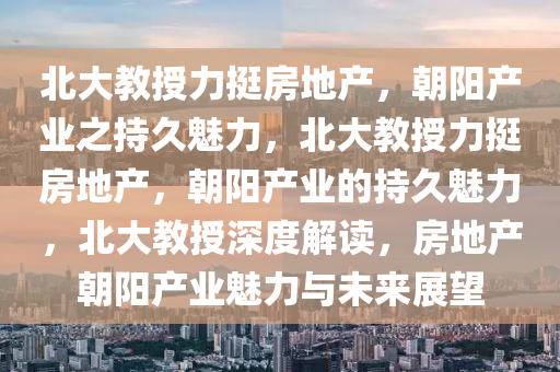 北大教授力挺房地产，朝阳产业之持久魅力，北大教授力挺房地产，朝阳产业的持久魅力，北大教授深度解读，房地产朝阳产业魅力与未来展望