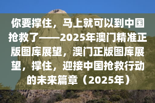 你要撑住，马上就可以到中国抢救了——2025年澳门精准正版图库展望，澳门正版图库展望，撑住，迎接中国抢救行动的未来篇章（2025年）