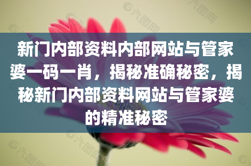 新门内部资料内部网站与管家婆一码一肖，揭秘准确秘密，揭秘新门内部资料网站与管家婆的精准秘密