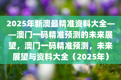 2025年新澳最精准资料大全——澳门一码精准预测的未来展望，澳门一码精准预测，未来展望与资料大全（2025年）