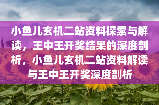 小鱼儿玄机二站资料探索与解读，王中王开奖结果的深度剖析，小鱼儿玄机二站资料解读与王中王开奖深度剖析