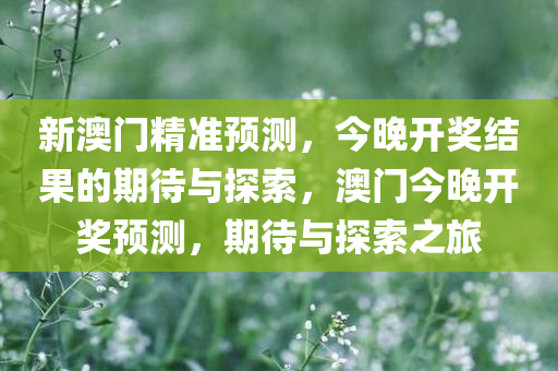 新澳门精准预测，今晚开奖结果的期待与探索，澳门今晚开奖预测，期待与探索之旅