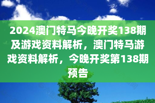 2024澳门特马今晚开奖138期及游戏资料解析，澳门特马游戏资料解析，今晚开奖第138期预告
