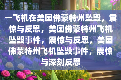 一飞机在美国佛蒙特州坠毁，震惊与反思，美国佛蒙特州飞机坠毁事件，震惊与反思，美国佛蒙特州飞机坠毁事件，震惊与深刻反思