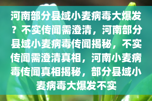 河南部分县域小麦病毒大爆发？不实传闻需澄清，河南部分县域小麦病毒传闻揭秘，不实传闻需澄清真相，河南小麦病毒传闻真相揭秘，部分县域小麦病毒大爆发不实