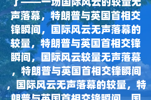 特朗普当场打断英国首相，够了——一场国际风云的较量无声落幕，特朗普与英国首相交锋瞬间，国际风云无声落幕的较量，特朗普与英国首相交锋瞬间，国际风云较量无声落幕，特朗普与英国首相交锋瞬间，国际风云无声落幕的较量，特朗普与英国首相交锋瞬间，国际风云较量无声落幕