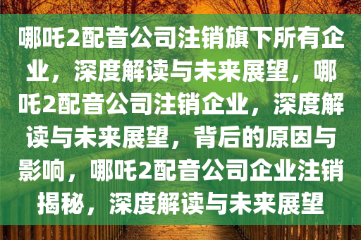 哪吒2配音公司注销旗下所有企业，深度解读与未来展望，哪吒2配音公司注销企业，深度解读与未来展望，背后的原因与影响，哪吒2配音公司企业注销揭秘，深度解读与未来展望