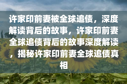 许家印前妻被全球追债，深度解读背后的故事，许家印前妻全球追债背后的故事深度解读，揭秘许家印前妻全球追债真相