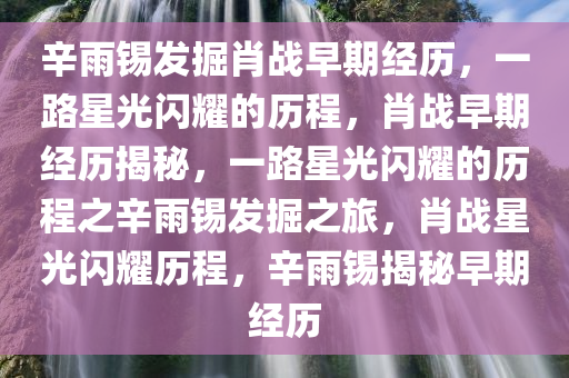 辛雨锡发掘肖战早期经历，一路星光闪耀的历程，肖战早期经历揭秘，一路星光闪耀的历程之辛雨锡发掘之旅，肖战星光闪耀历程，辛雨锡揭秘早期经历