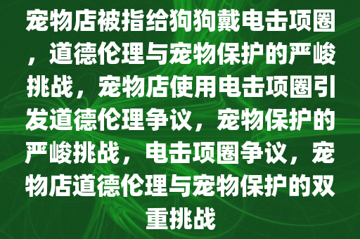 宠物店被指给狗狗戴电击项圈，道德伦理与宠物保护的严峻挑战，宠物店使用电击项圈引发道德伦理争议，宠物保护的严峻挑战，电击项圈争议，宠物店道德伦理与宠物保护的双重挑战